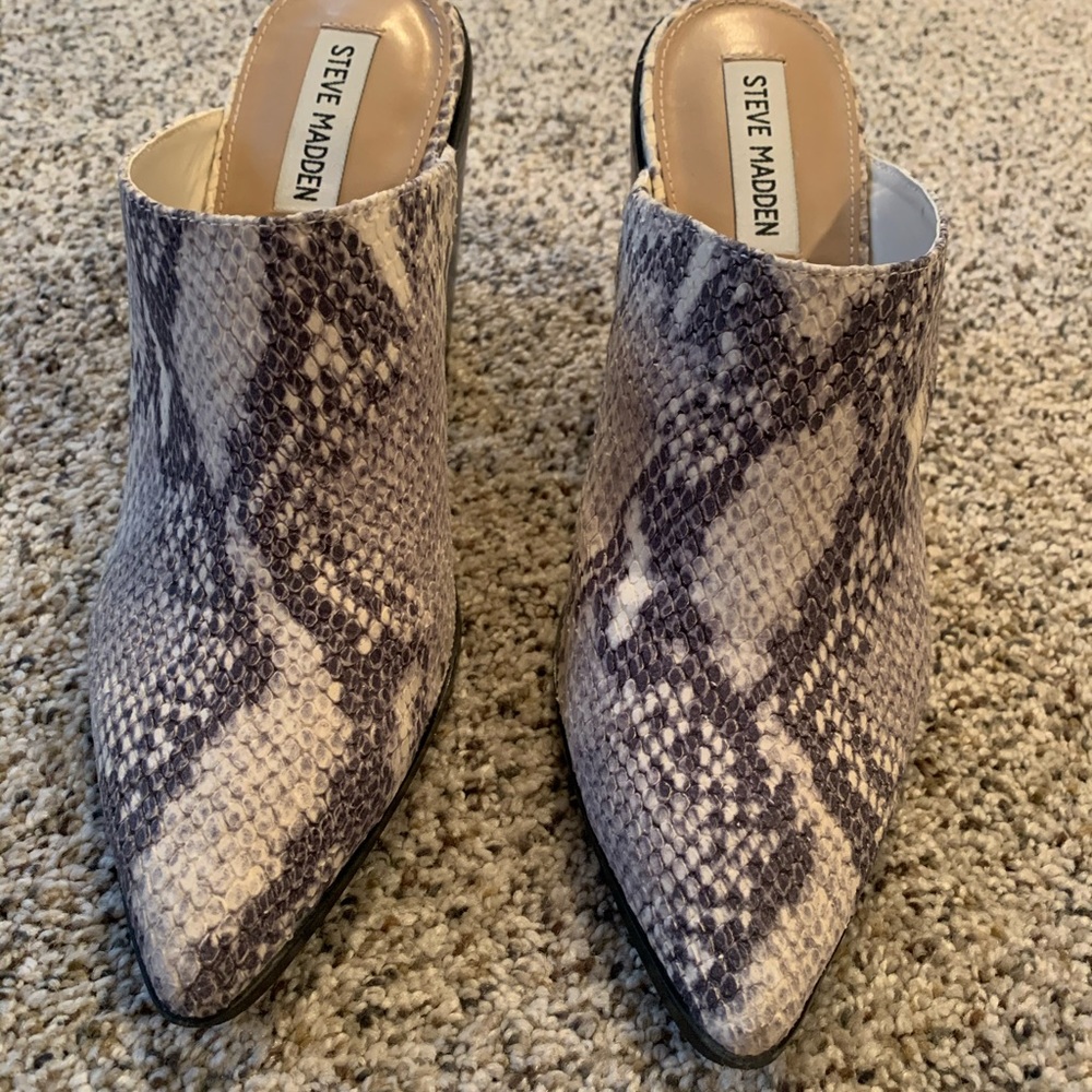 Steve Madden snakeskin Savina mule